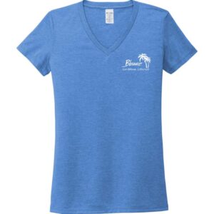 Welcome to the Bbeanz Women’s Tee Azure Blue